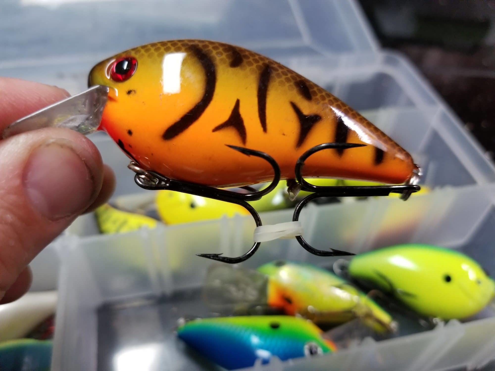 Crankbait Storage & Annual Maintenance Tips