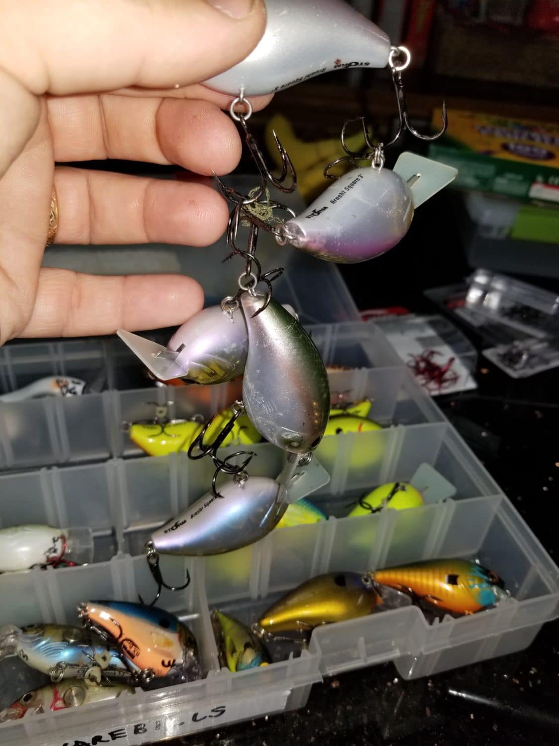 Crankbait Storage Annual Maintenance Tips Fishnetics