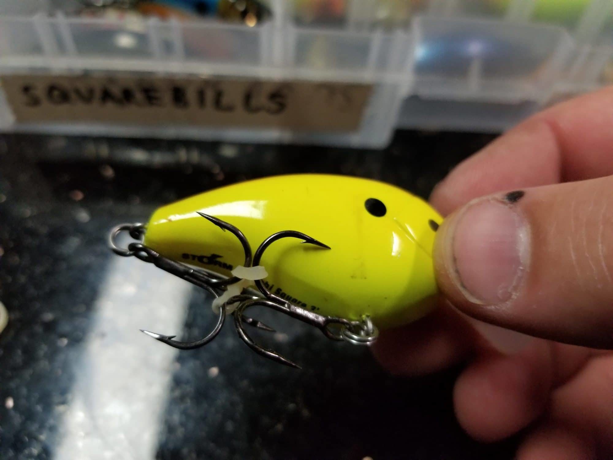 Crankbait Storage & Annual Maintenance Tips