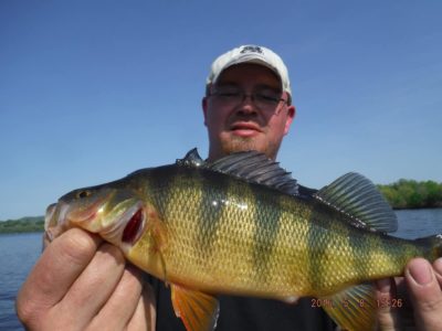 Shawn with a jumbo perch1