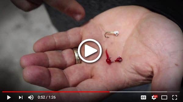 Go-To jig colors for first-ice fish