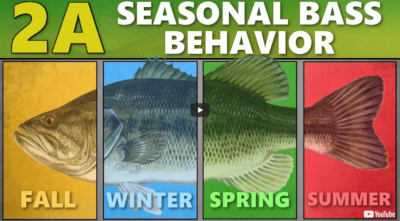 Seasonal Behavior of Largemouth Bass