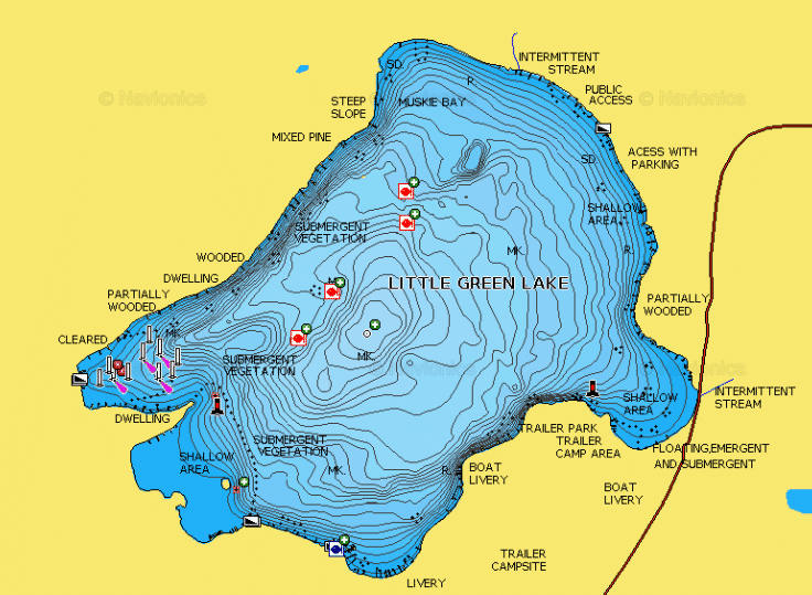 Little Green Lake Fishing Report, 7/24/2019 - The Case of the