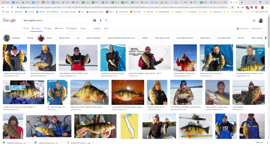 Google image search for Lake Gogebic perch