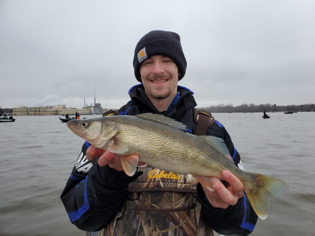 Walleye from the Fox River